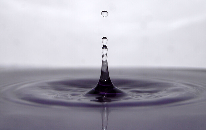 http://farm4.static.flickr.com/3221/3036221473_4456b2a6c6_o.jpg