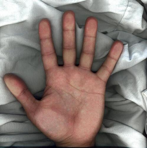 http://www.gianmarco.com/palm.jpg