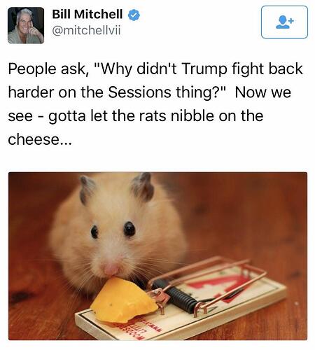 https://i.redd.it/8fyc92bnvejy.jpg