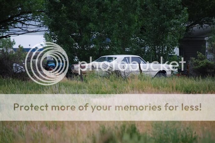 http://i767.photobucket.com/albums/xx317/ultradriver1000/Grand%20Junction/DSC_0220.jpg