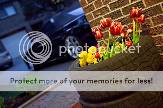 http://i10.photobucket.com/albums/a112/ronnietrackpics/RX50/IMG_6242.jpg