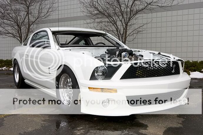 http://i82.photobucket.com/albums/j262/MikeThePhotoGuy/Don%20Walsh/_DOC9954.jpg