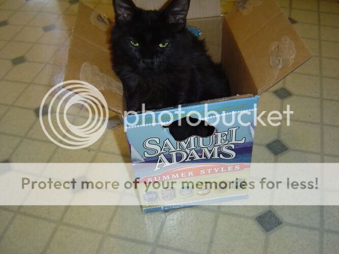 http://img.photobucket.com/albums/v323/mistertwo/DSC02243.jpg