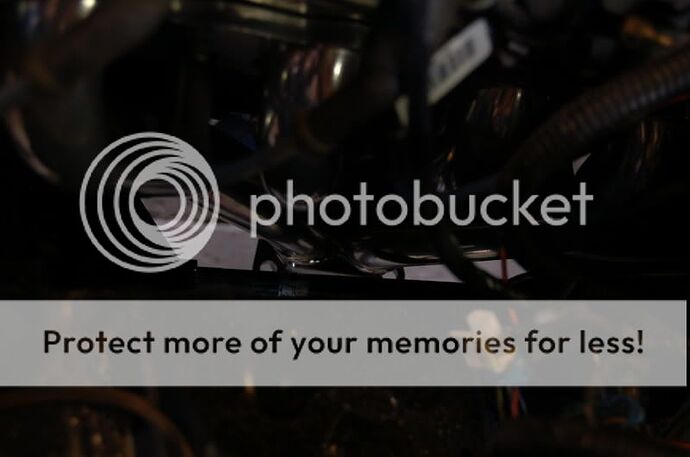 http://img.photobucket.com/albums/v654/Minglor/DSC_0227.jpg