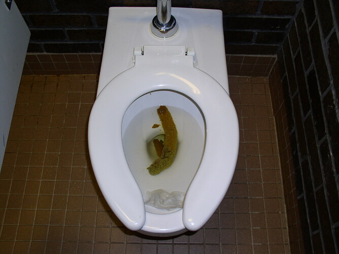 http://oxojamm.tripod.com/sitebuildercontent/sitebuilderpictures/poop2.jpg