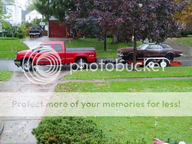 http://img.photobucket.com/albums/v705/bluebubble2k1/PA250044.jpg