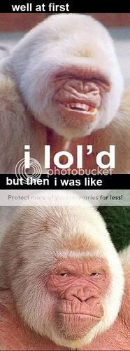 http://i102.photobucket.com/albums/m117/cubncutie02/serioused.jpg