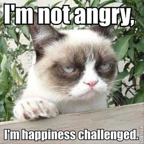 http://www.dumpaday.com/wp-content/uploads/2012/12/grumpy-cat-funny-cats.jpg