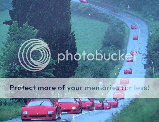 http://i91.photobucket.com/albums/k287/radddx3/FerrariF40grupo.jpg