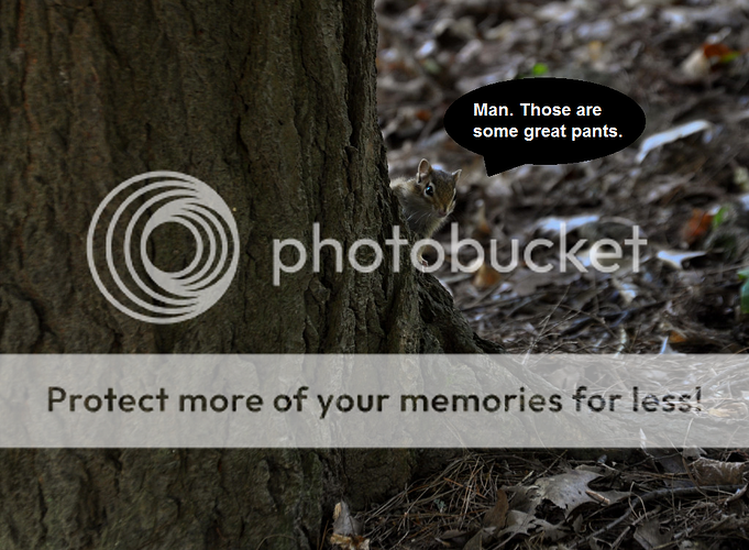 http://i160.photobucket.com/albums/t167/llorentz/CTN_Pants.png