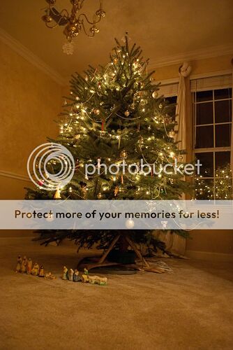 http://i767.photobucket.com/albums/xx317/ultradriver1000/Home/DSC_0022.jpg?t=1261346338