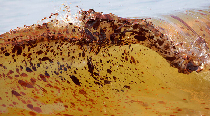 http://inapcache.boston.com/universal/site_graphics/blogs/bigpicture/oil_06_21/s06_23905819.jpg
