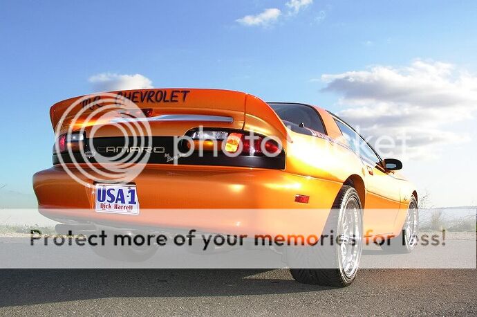 http://i32.photobucket.com/albums/d50/Shockwave179/dhrear2.jpg?t=1244658616