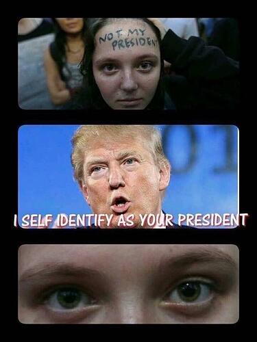 https://i.redd.it/lirond1wtoky.jpg