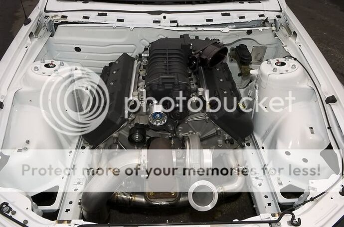 http://i82.photobucket.com/albums/j262/MikeThePhotoGuy/Don%20Walsh/_DOC9948.jpg
