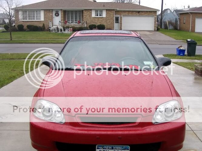 http://i46.photobucket.com/albums/f145/dumpsterdivertom/team.jpg