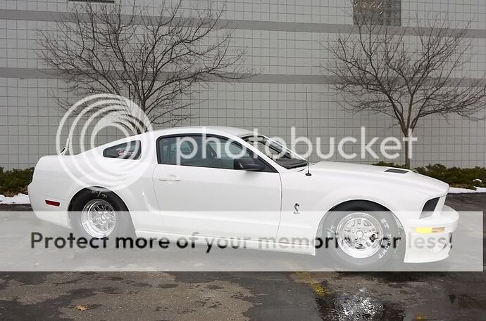 http://i82.photobucket.com/albums/j262/MikeThePhotoGuy/Don%20Walsh/_DOC9972.jpg