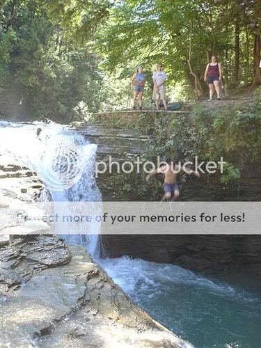 http://img.photobucket.com/albums/v308/jetta8v/DSC00393Medium.jpg