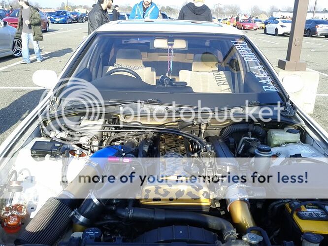 http://i211.photobucket.com/albums/bb49/paintbalxtra89/IMG_20120318_170311.jpg
