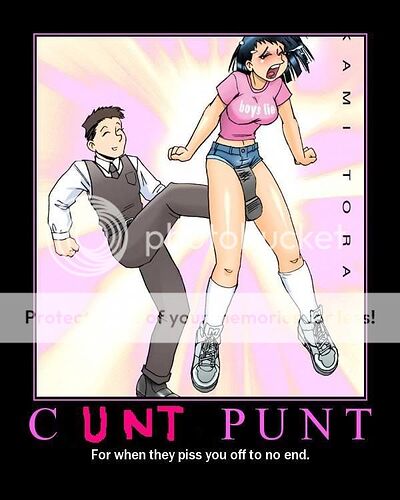 http://i68.photobucket.com/albums/i32/bdubnyc/CuntPunt.jpg