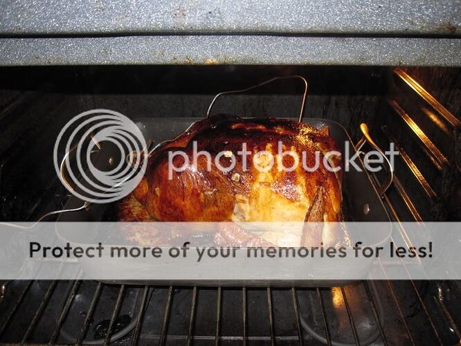 http://i17.photobucket.com/albums/b76/BikerFry/Picture014-1.jpg?t=1228193276