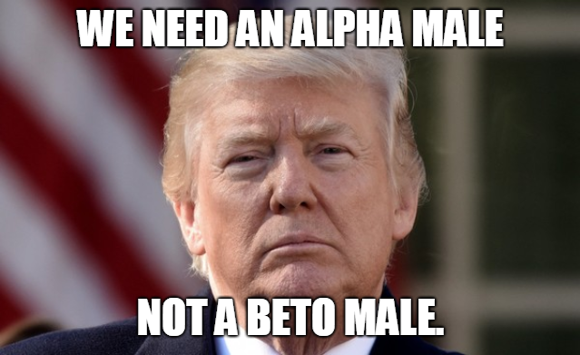 trumpalphameme