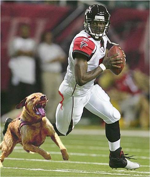 http://1.bp.blogspot.com/_pwH6ri6x_dE/TVBhAuSMWBI/AAAAAAAAAG0/InLhHfeGY38/s1600/vick-and-dog.jpeg