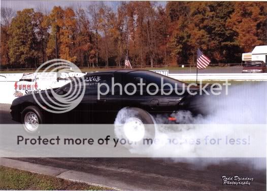 http://img.photobucket.com/albums/v204/Tomtheroofer/bsdburnout.jpg