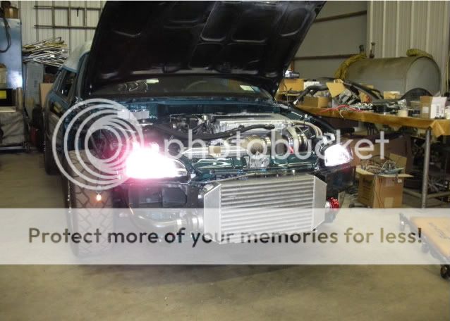 http://i197.photobucket.com/albums/aa271/shrekb18/newshrek/DSCN1093-1.jpg?t=1281410356