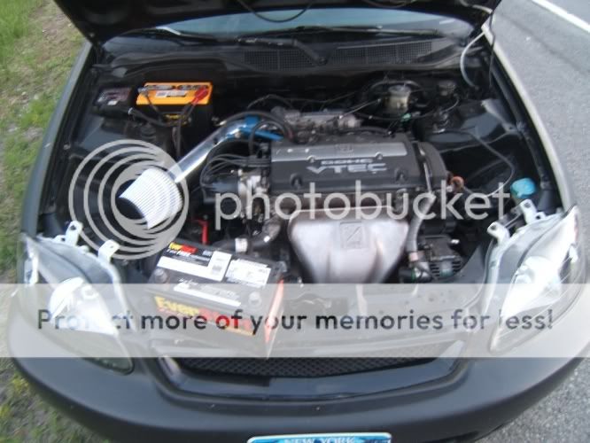 http://img.photobucket.com/albums/v398/subtlemishap/DSCF1713.jpg