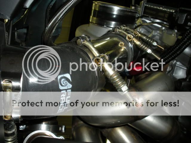 http://i197.photobucket.com/albums/aa271/shrekb18/newshrek/DSCN1074.jpg?t=1280095076