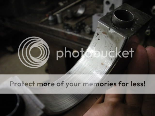 http://i197.photobucket.com/albums/aa271/shrekb18/newshrek/DSCN1206.jpg?t=1285547734