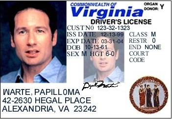 http://www.michaelzwilliamson.com/rants/dl.jpg