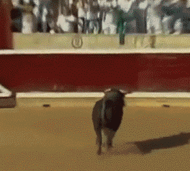 http://i.imgur.com/upKehoC.gif