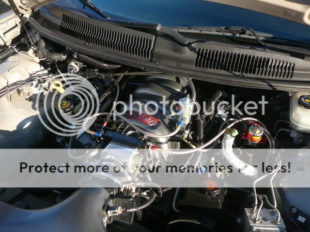 http://i58.photobucket.com/albums/g259/stanggang1892/P1030468.jpg