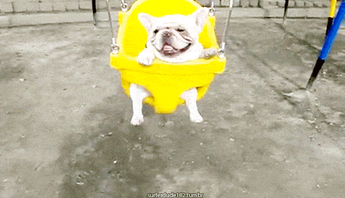 http://26.media.tumblr.com/tumblr_lw5y7kLlxL1qbxpeso1_500.gif