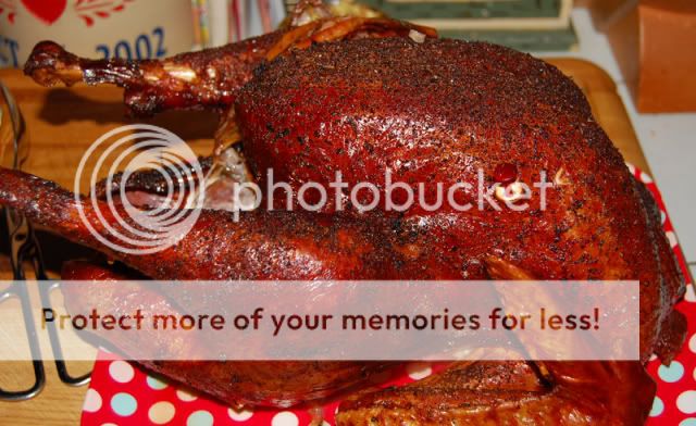 http://i224.photobucket.com/albums/dd75/jsears77/DSC_5832.jpg
