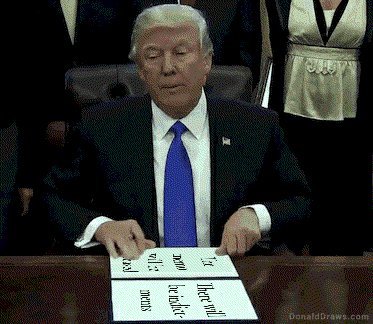 https://i.redd.it/zvlj0e6rt4d01.gif