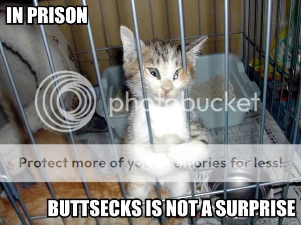 http://i177.photobucket.com/albums/w233/caturdayskwerl/LolCatRenderer-30.jpg