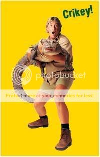 http://i402.photobucket.com/albums/pp104/95d16turbo/crikey.jpg