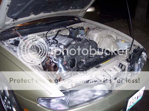 http://i4.photobucket.com/albums/y148/allen22/100_0302.jpg