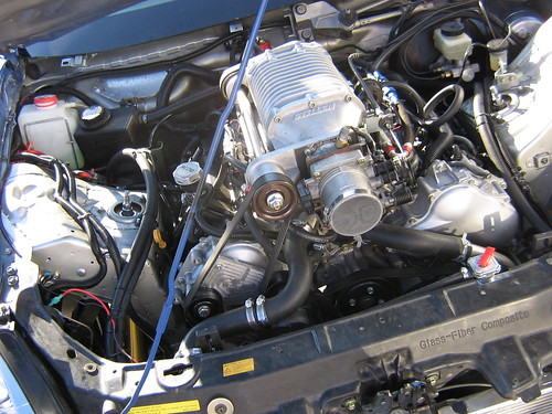 http://farm4.static.flickr.com/3223/2924148287_187ed5b7fc.jpg