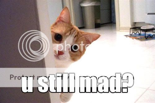 http://img.photobucket.com/albums/v447/Baoser/you_still_mad.jpg