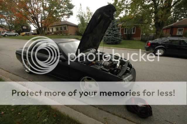 http://img.photobucket.com/albums/v117/ridepinktrucks/44482c58.jpg