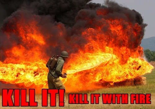 http://i0.kym-cdn.com/photos/images/original/000/128/622/KILL-IT-WITH-FIRE-FUNNY-FORUM-PICS.jpg