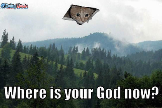 http://www.dailyhaha.com/_pics/ceiling_cat_god.jpg