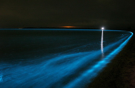 http://philhart.com/files/Phosphorescence_37.jpg