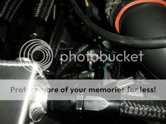 http://i197.photobucket.com/albums/aa271/shrekb18/newshrek/DSCN1081.jpg?t=1280095302