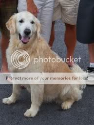 http://i37.photobucket.com/albums/e96/boarding087/mydog.jpg