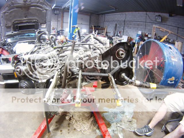 http://i16.photobucket.com/albums/b35/johnms88/GOPR0162.jpg
